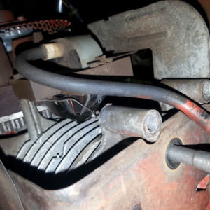 Meet your Posher, Thomas